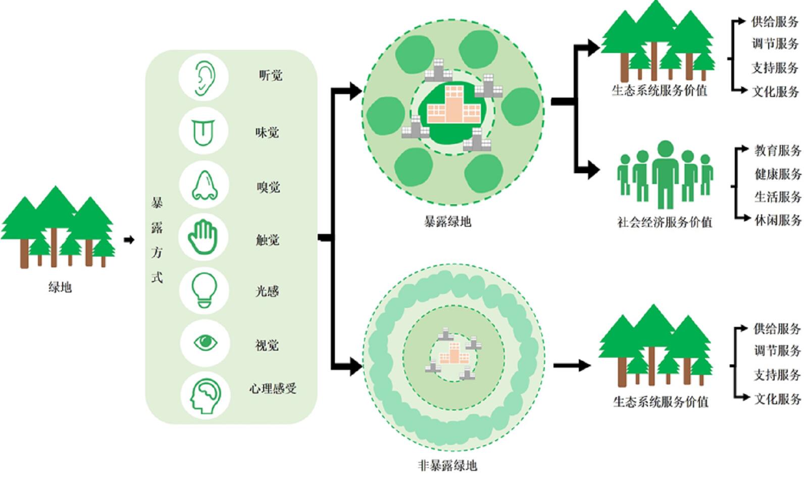 城市環境研究所在綠地生態系統服務和社會經濟服務的價值偏向研究方面